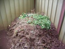 tolgacompost2