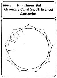sanjeevini cards2