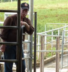 Hugh Dairy Tasmania_0