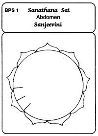 sanjeevini cards1